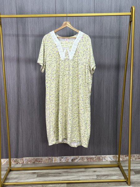 اخضر 24